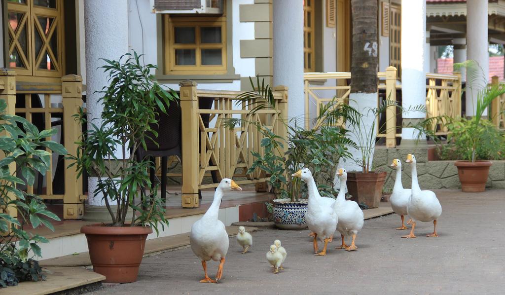 Golden Swan Beach Resort Murud  Luaran gambar